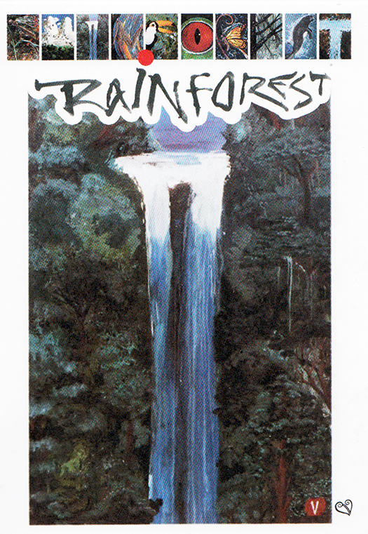 regenwald postkarten