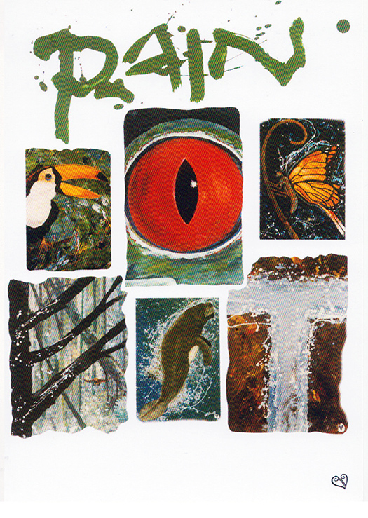rainforest cards